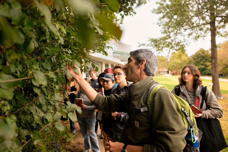 biology class looks at invasive plants 