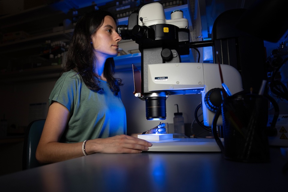 A student looks into a microscope
