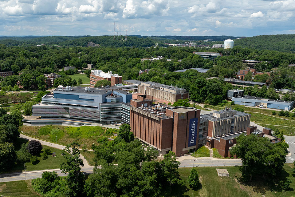 A granite Brandeis University sign with bright flowers growing in the foreground