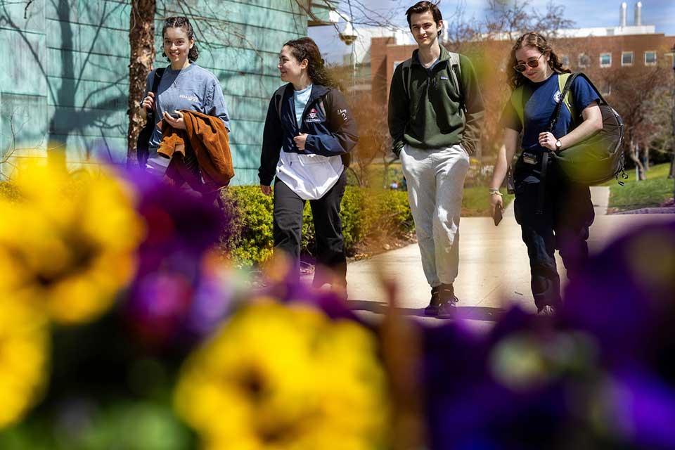 Four students walk past blooming flowers on Brandeis campus.