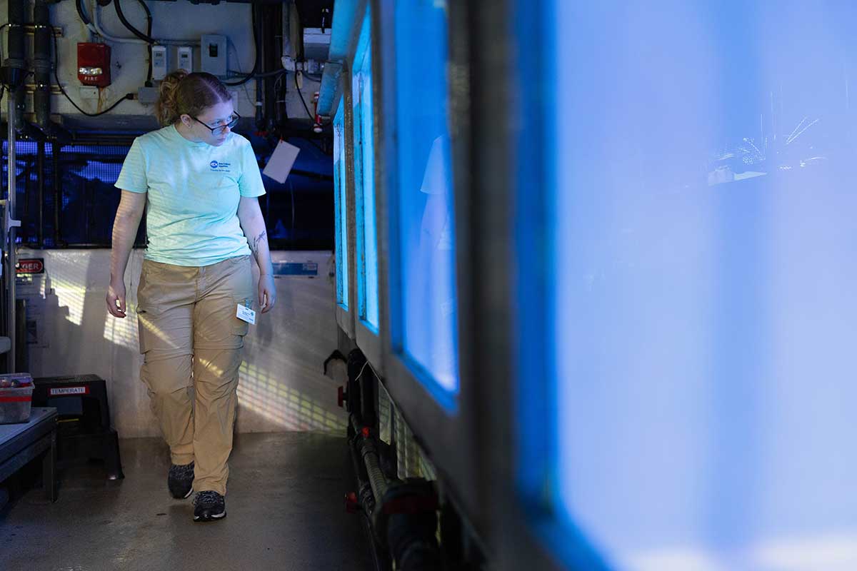 Lyra walks by a large fish tank