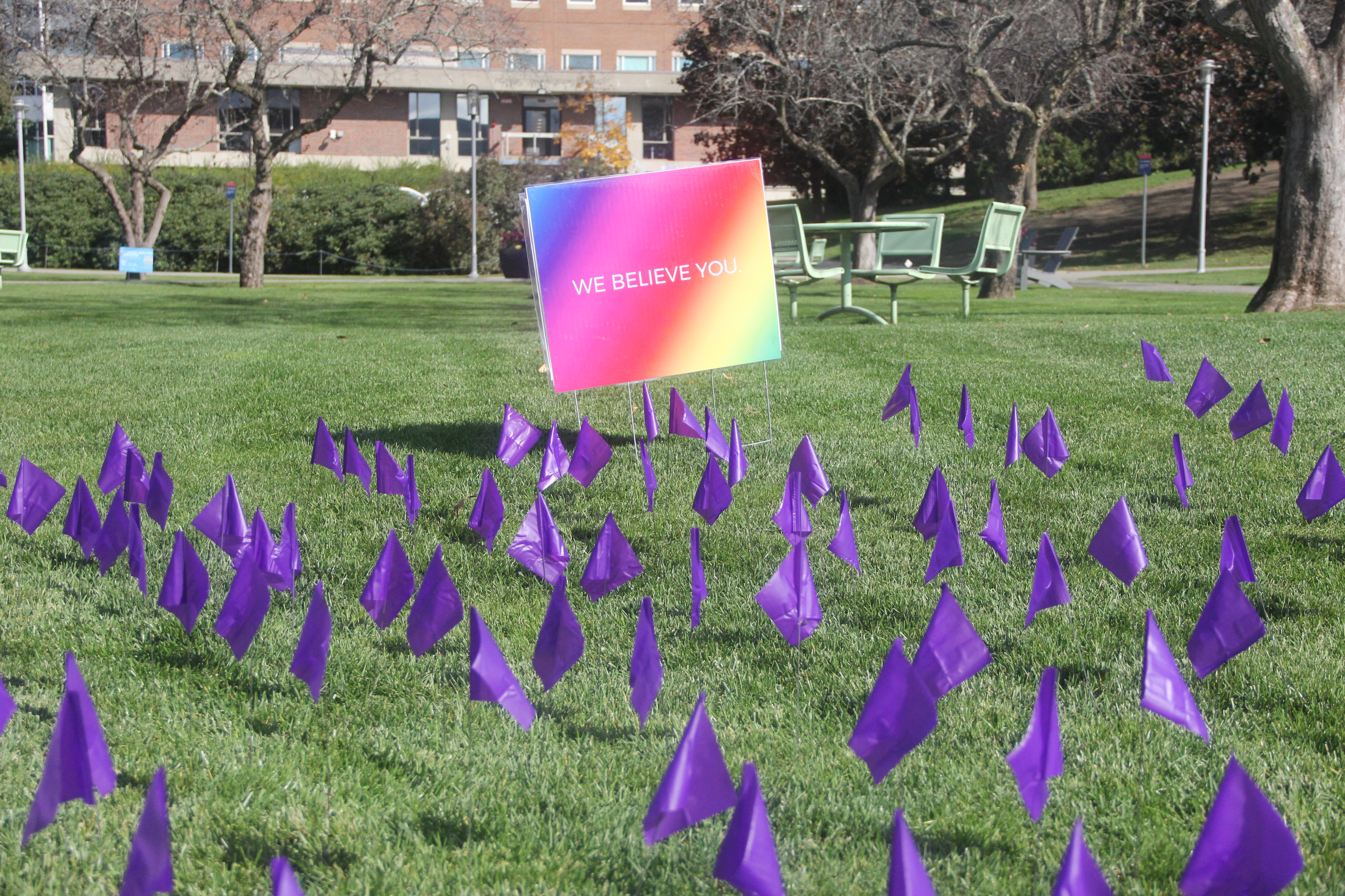 Purple flags as part of a Domestic Violence Awareness Month display