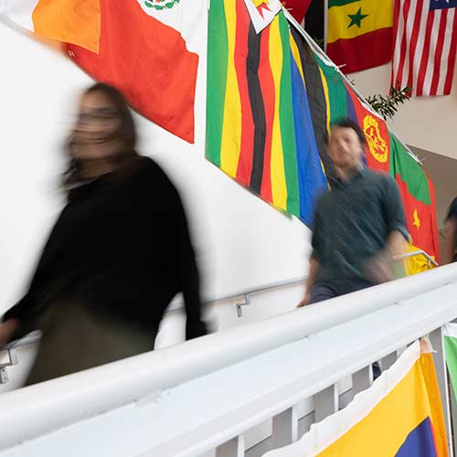 A student speaks with an advisor at the Hiatt Career Center.