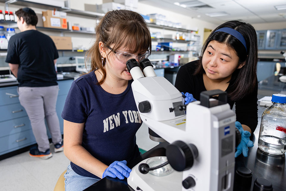 Two students work with a microscope in a lab.