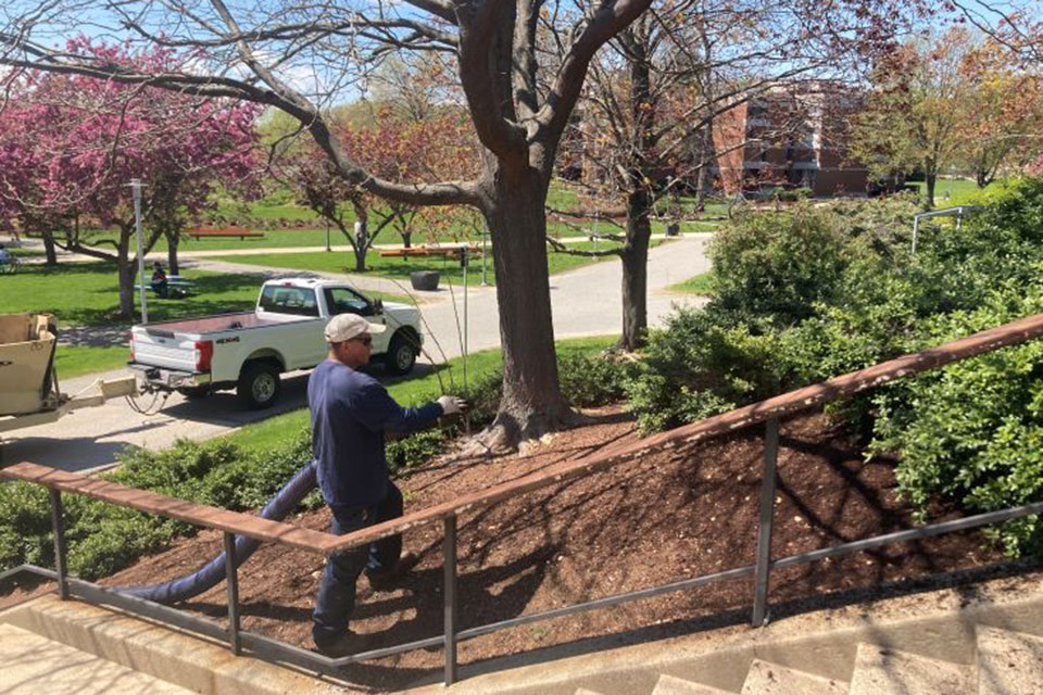 Person mulching a flowerbed
