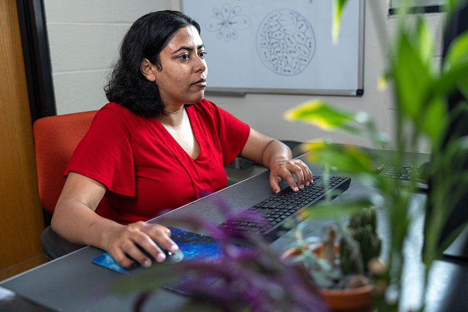 A Brandeis graduate student works at a computer.