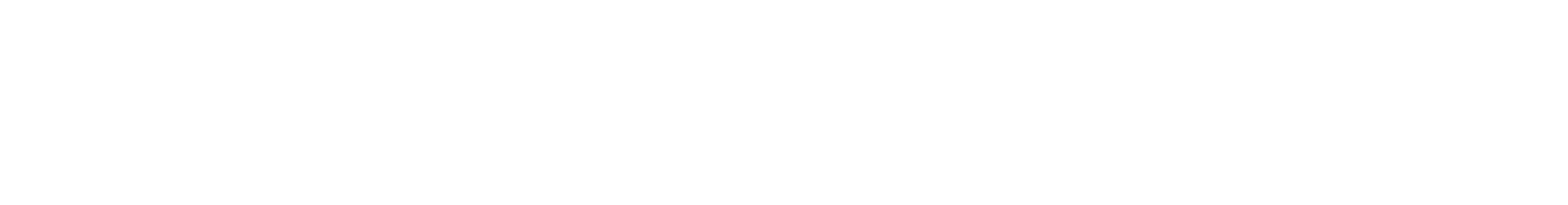 IBS wordmark