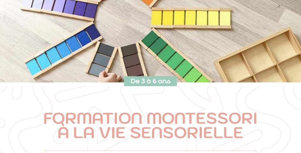 Formation Montessori 3 à 6 ans Vie Sensorielle